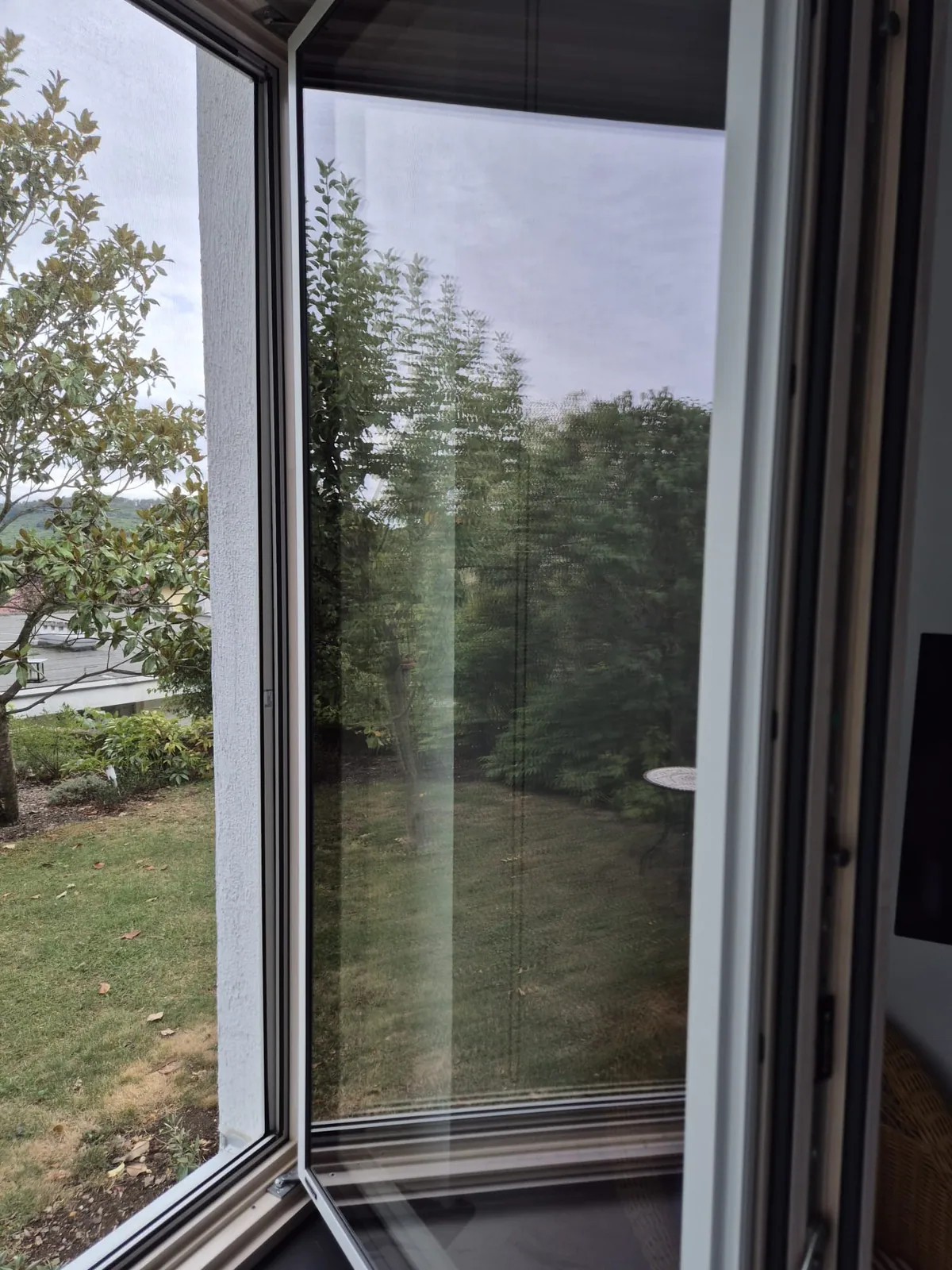 Fenster- und Glasreinigung